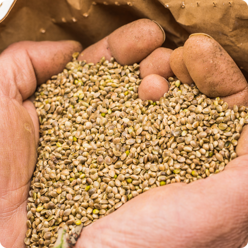 BUILT ON SUSTAINABILITY