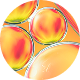 GLADBACK