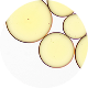 TRI & TETRA PEPTIDES